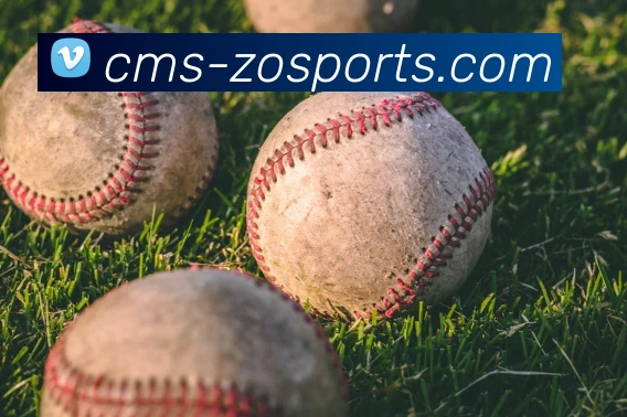 中欧体育服务体系